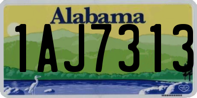 AL license plate 1AJ7313