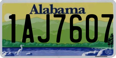 AL license plate 1AJ7607
