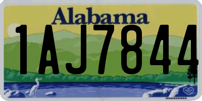 AL license plate 1AJ7844