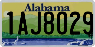 AL license plate 1AJ8029