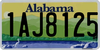 AL license plate 1AJ8125
