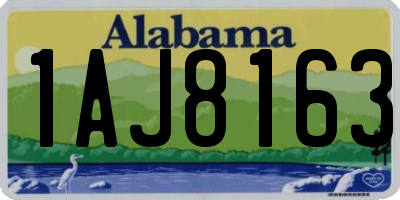 AL license plate 1AJ8163
