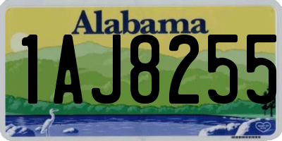 AL license plate 1AJ8255