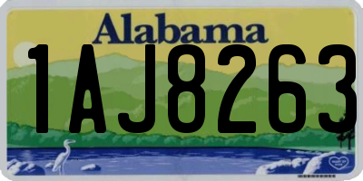 AL license plate 1AJ8263