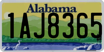 AL license plate 1AJ8365
