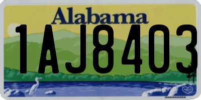 AL license plate 1AJ8403