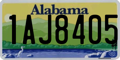 AL license plate 1AJ8405