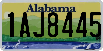 AL license plate 1AJ8445