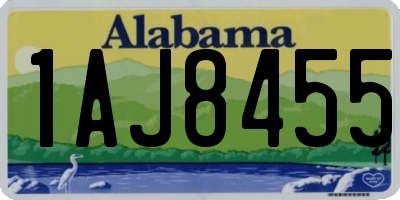 AL license plate 1AJ8455