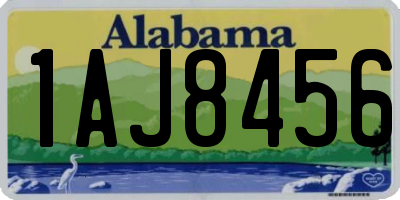 AL license plate 1AJ8456