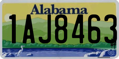 AL license plate 1AJ8463