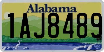 AL license plate 1AJ8489
