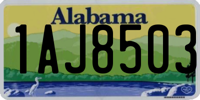 AL license plate 1AJ8503