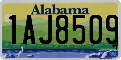 AL license plate 1AJ8509