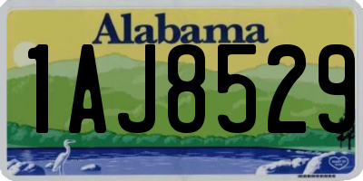 AL license plate 1AJ8529