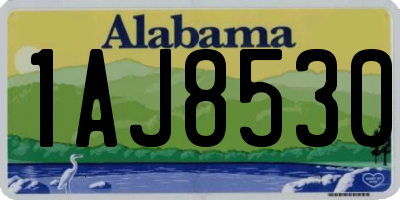 AL license plate 1AJ8530