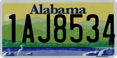 AL license plate 1AJ8534