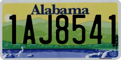 AL license plate 1AJ8541