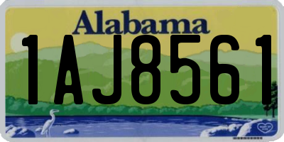 AL license plate 1AJ8561