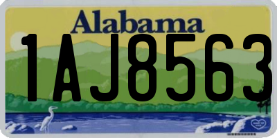 AL license plate 1AJ8563