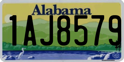 AL license plate 1AJ8579