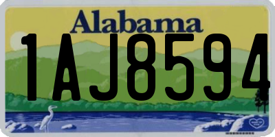 AL license plate 1AJ8594