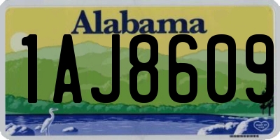 AL license plate 1AJ8609