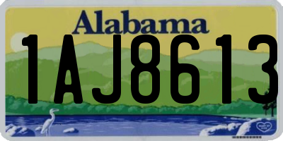 AL license plate 1AJ8613