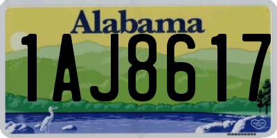 AL license plate 1AJ8617