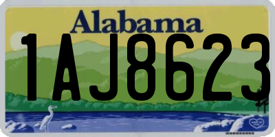 AL license plate 1AJ8623