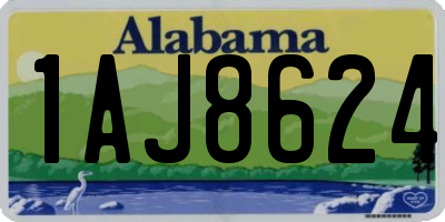 AL license plate 1AJ8624
