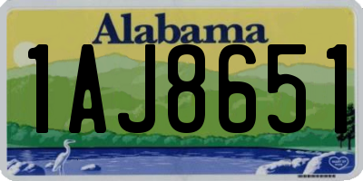 AL license plate 1AJ8651