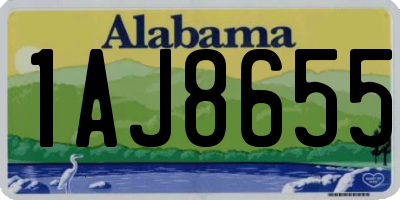 AL license plate 1AJ8655