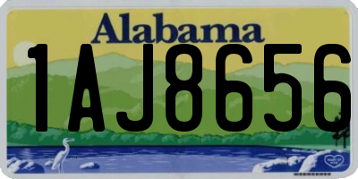 AL license plate 1AJ8656