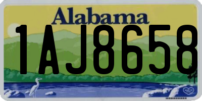 AL license plate 1AJ8658
