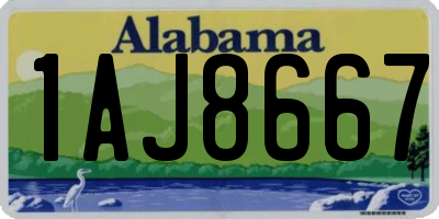 AL license plate 1AJ8667