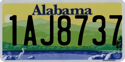 AL license plate 1AJ8737