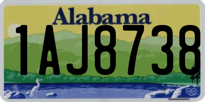 AL license plate 1AJ8738