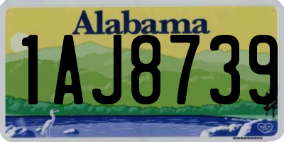 AL license plate 1AJ8739