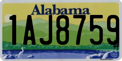 AL license plate 1AJ8759