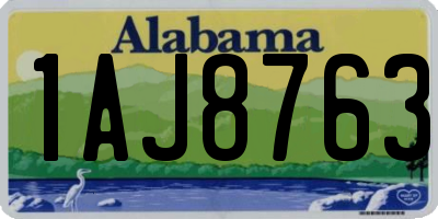 AL license plate 1AJ8763