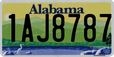 AL license plate 1AJ8787