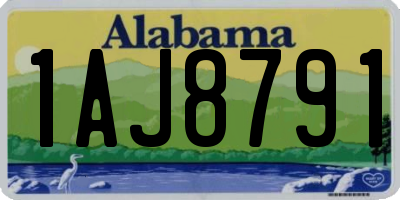 AL license plate 1AJ8791