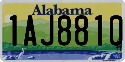 AL license plate 1AJ8810
