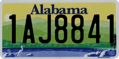 AL license plate 1AJ8841