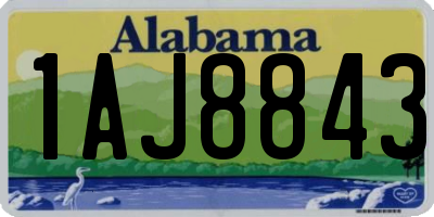 AL license plate 1AJ8843