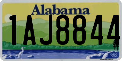 AL license plate 1AJ8844