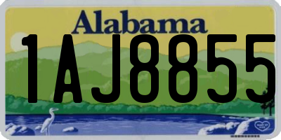 AL license plate 1AJ8855