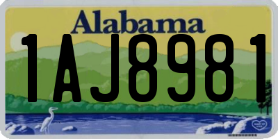 AL license plate 1AJ8981
