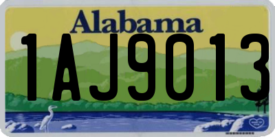AL license plate 1AJ9013